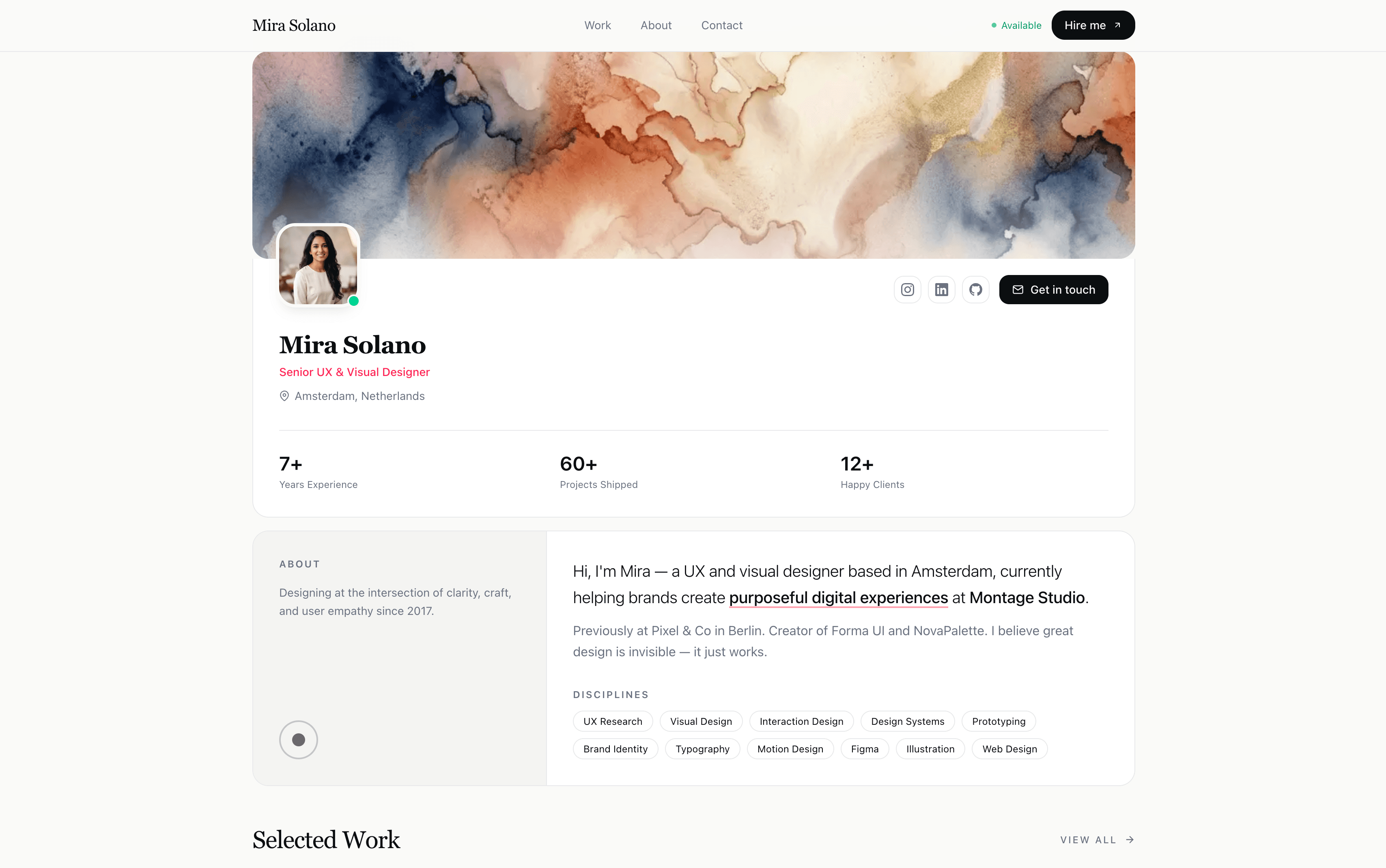 LinkedIn Style Developer Portfolio Preview 1